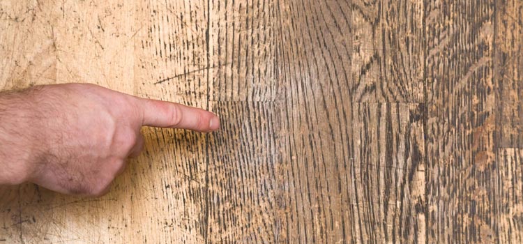 Wood Door Scratch Repair in Rancho Calaveras